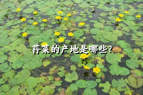 荇菜的产地是哪些？