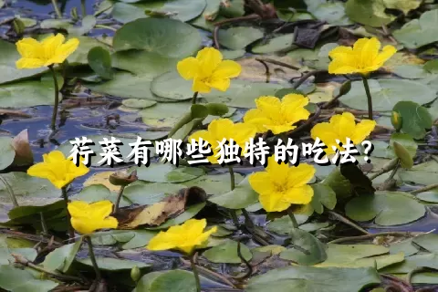 荇菜有哪些独特的吃法？