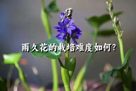 雨久花的栽培难度如何？