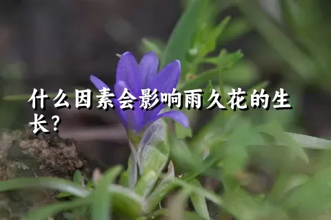 什么因素会影响雨久花的生长？