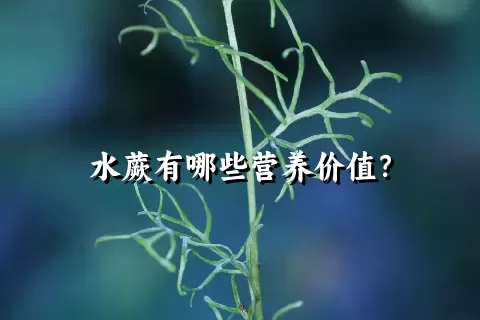 水蕨有哪些营养价值？