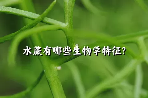 水蕨有哪些生物学特征？