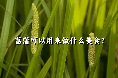 菖蒲可以用来做什么美食？