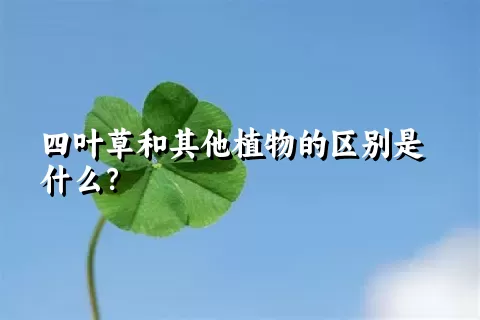 四叶草和其他植物的区别是什么？