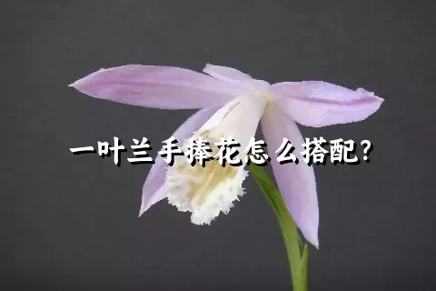 一叶兰手捧花怎么搭配？