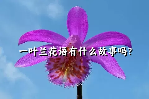 一叶兰花语有什么故事吗？