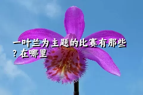 一叶兰为主题的比赛有那些？在哪里