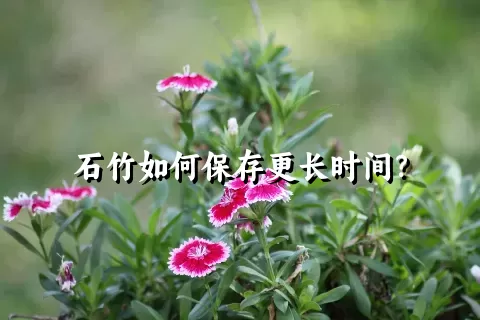 石竹如何保存更长时间？