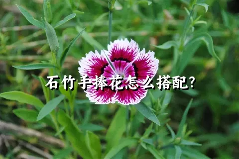 石竹手捧花怎么搭配？