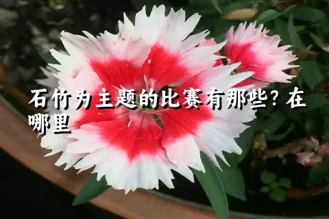 石竹为主题的比赛有那些？在哪里