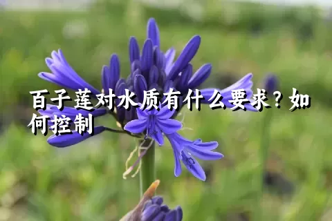 百子莲对水质有什么要求？如何控制