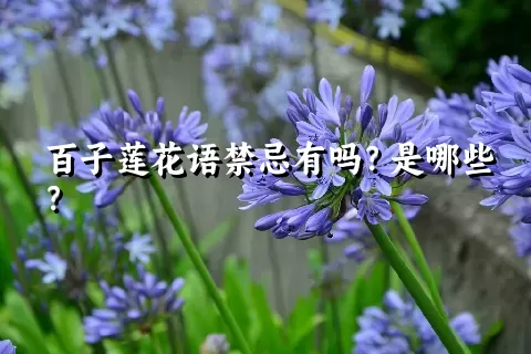 百子莲花语禁忌有吗？是哪些？