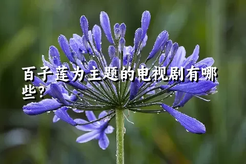 百子莲为主题的电视剧有哪些？