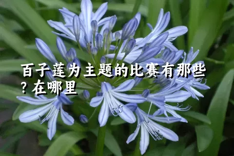 百子莲为主题的比赛有那些？在哪里