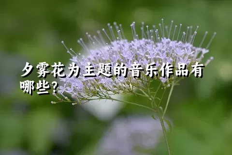 夕雾花为主题的音乐作品有哪些？