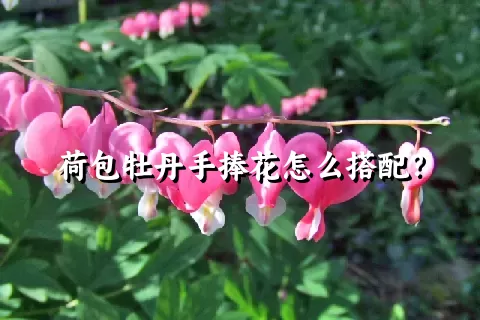 荷包牡丹手捧花怎么搭配？