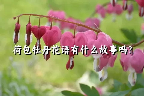 荷包牡丹花语有什么故事吗？