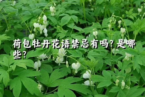 荷包牡丹花语禁忌有吗？是哪些？