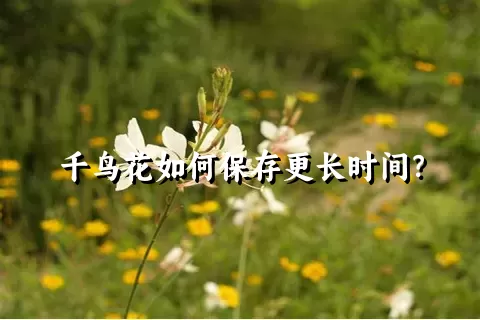 千鸟花如何保存更长时间？