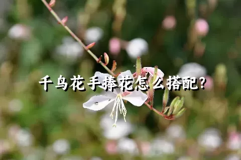 千鸟花手捧花怎么搭配？