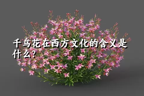 千鸟花在西方文化的含义是什么？