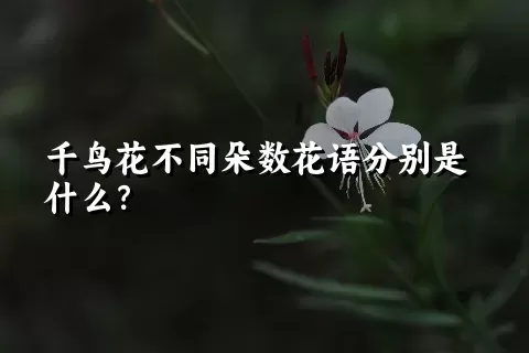 千鸟花不同朵数花语分别是什么？