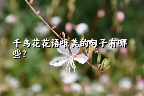 千鸟花花语唯美的句子有哪些？