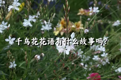 千鸟花花语有什么故事吗？