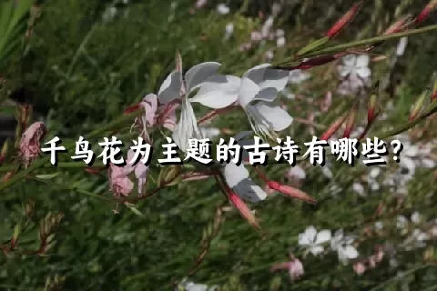 千鸟花为主题的古诗有哪些？