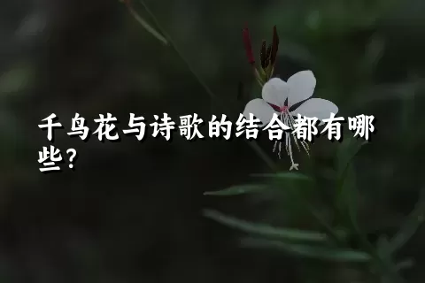 千鸟花与诗歌的结合都有哪些？