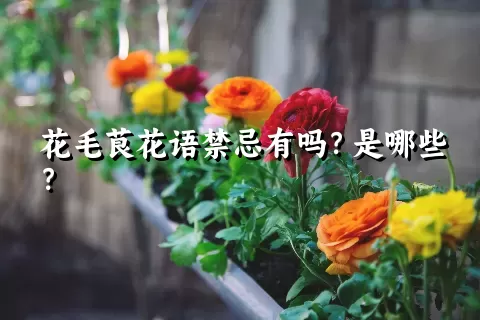 花毛茛花语禁忌有吗？是哪些？