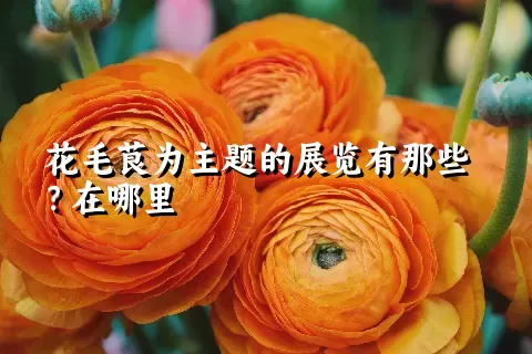 花毛茛为主题的展览有那些？在哪里