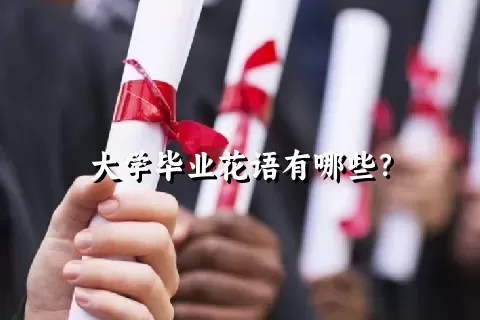 大学毕业花语有哪些？