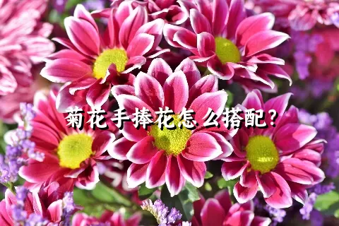 菊花手捧花怎么搭配？