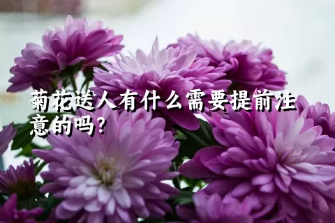 菊花送人有什么需要提前注意的吗？