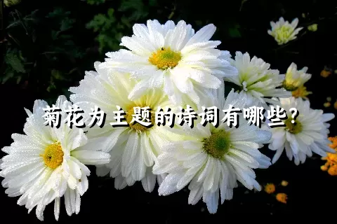 菊花为主题的诗词有哪些？