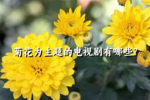 菊花为主题的电视剧有哪些？