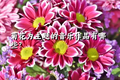 菊花为主题的音乐作品有哪些？