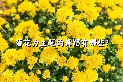 菊花为主题的舞蹈有哪些？