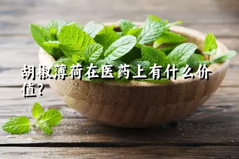 胡椒薄荷在医药上有什么价值？