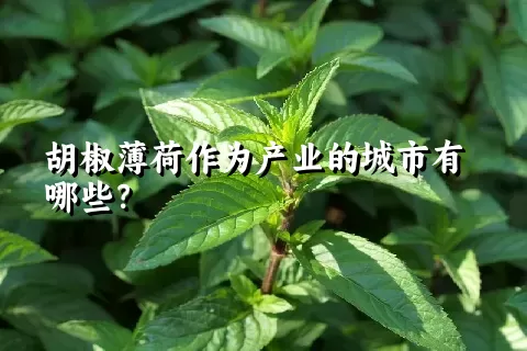 胡椒薄荷作为产业的城市有哪些？