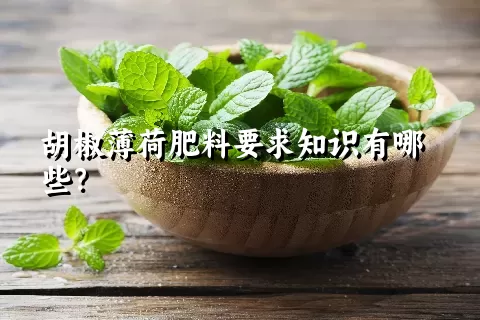 胡椒薄荷肥料要求知识有哪些？