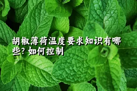 胡椒薄荷温度要求知识有哪些？如何控制