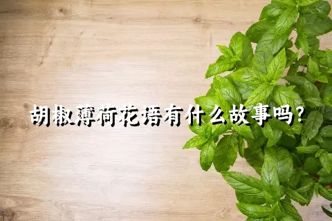 胡椒薄荷花语有什么故事吗？