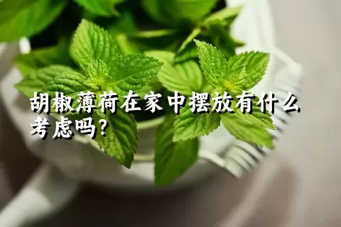 胡椒薄荷在家中摆放有什么考虑吗？