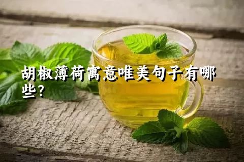 胡椒薄荷寓意唯美句子有哪些？