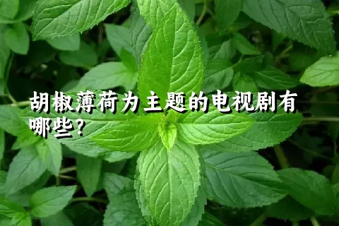 胡椒薄荷为主题的电视剧有哪些？