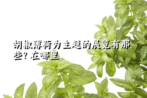 胡椒薄荷为主题的展览有那些？在哪里