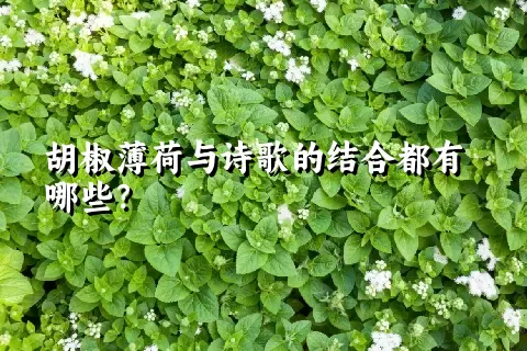 胡椒薄荷与诗歌的结合都有哪些？