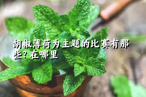 胡椒薄荷为主题的比赛有那些？在哪里